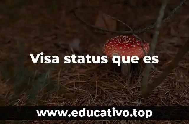 Visa status que es