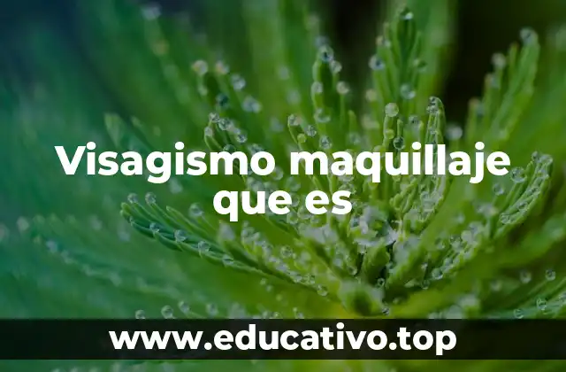 Visagismo maquillaje que es