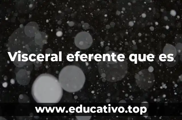 Visceral eferente que es