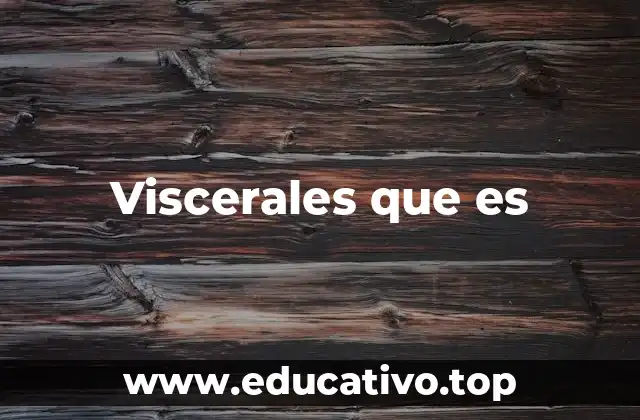 Viscerales que es