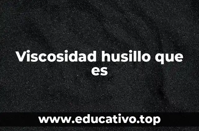 Viscosidad husillo que es