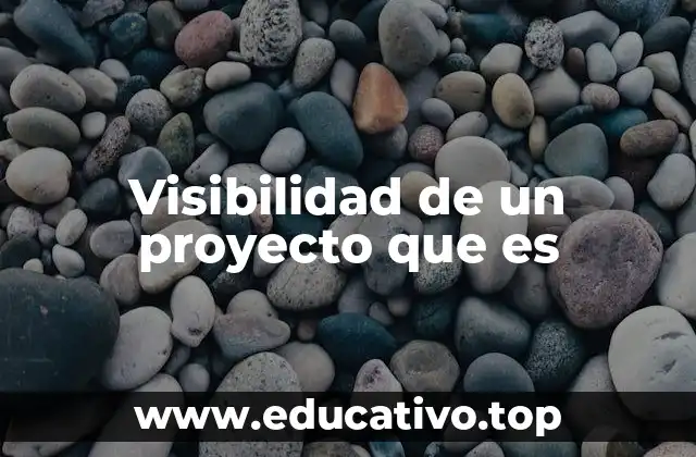 Visibilidad de un proyecto que es