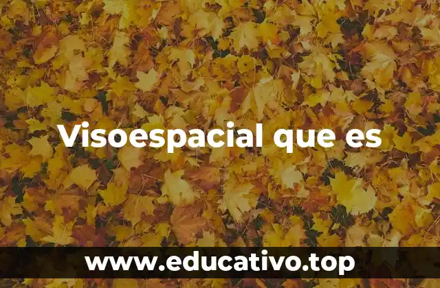 Visoespacial que es