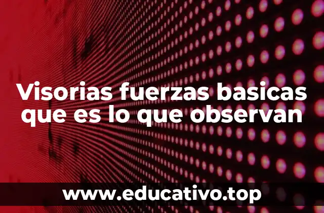 Visorias fuerzas basicas que es lo que observan