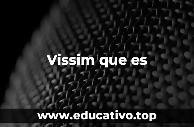 Vissim que es