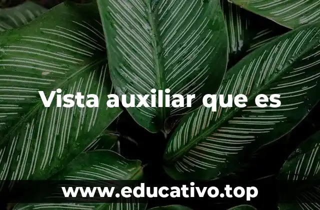 Vista auxiliar que es