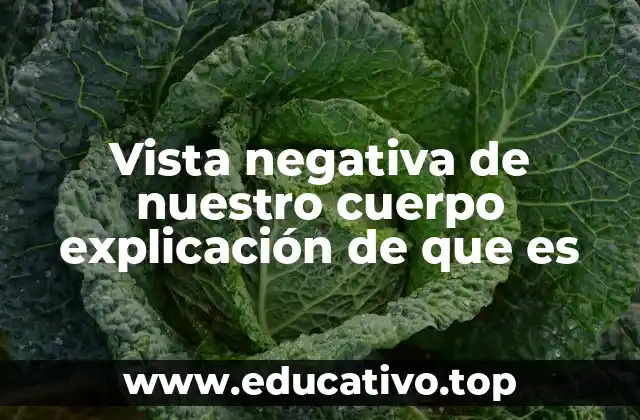 Vista negativa de nuestro cuerpo explicación de que es