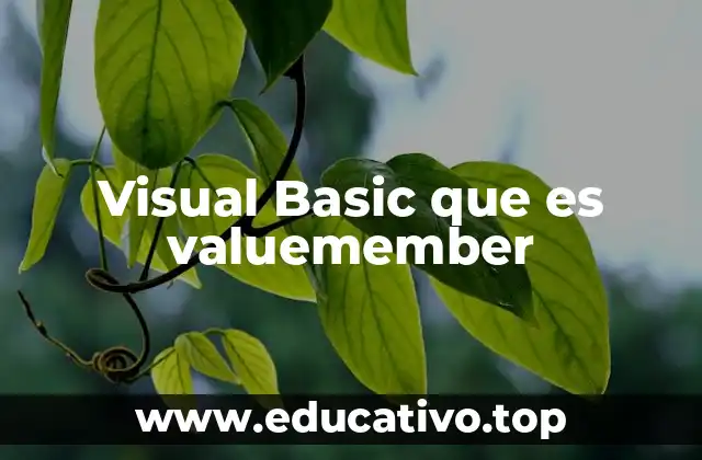 Visual Basic que es valuemember