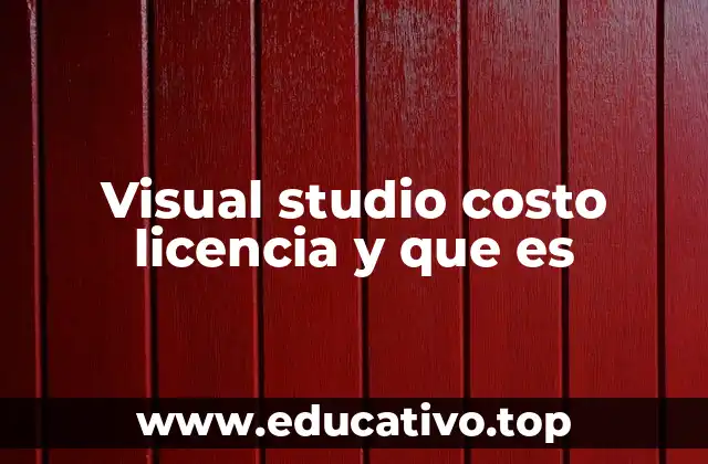 Visual studio costo licencia y que es