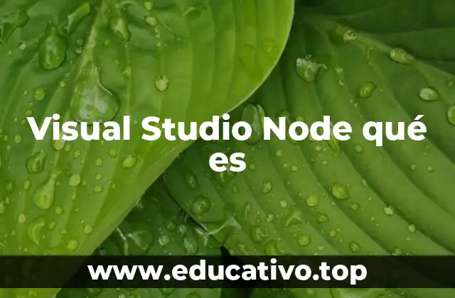 Visual Studio Node qué es