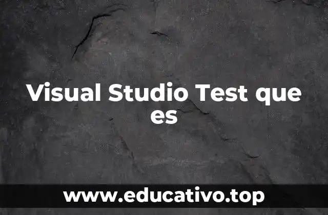 Visual Studio Test que es