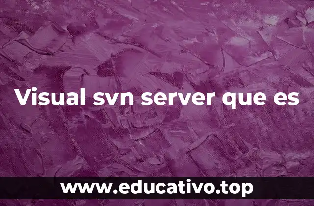 Visual svn server que es
