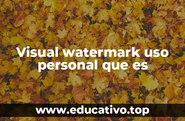 Visual watermark uso personal que es