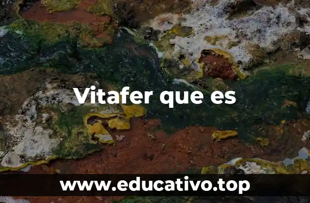 Vitafer que es