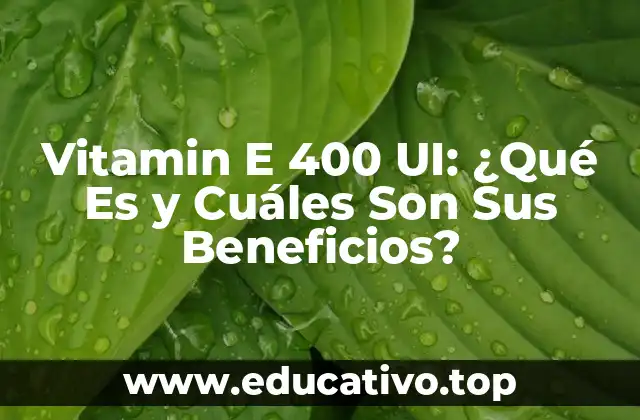 Vitamin E 400 UI: ¿Qué Es y Cuáles Son Sus Beneficios?