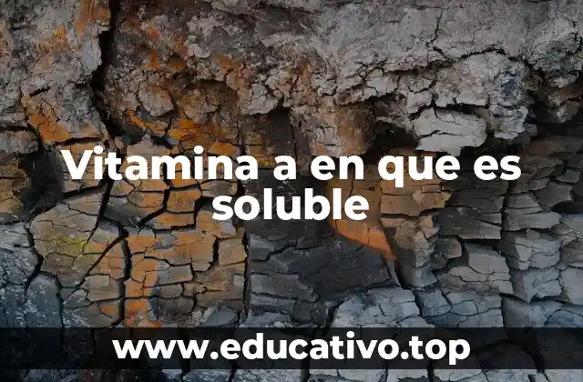 La importancia de la solubilidad en la absorción nutricional