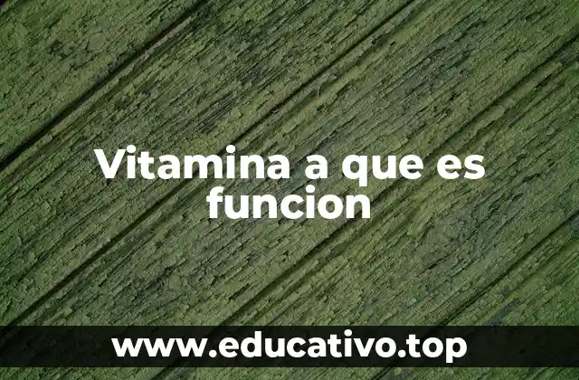 Vitamina a que es funcion