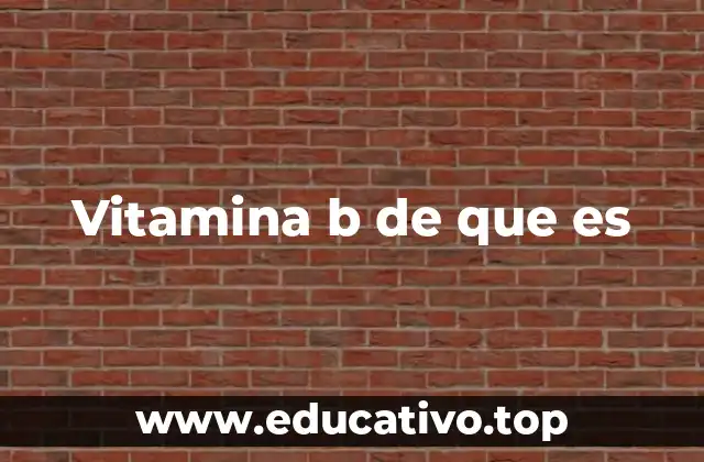 Vitamina b de que es