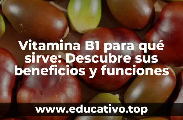 Vitamina B1 para qué sirve: Descubre sus beneficios y funciones