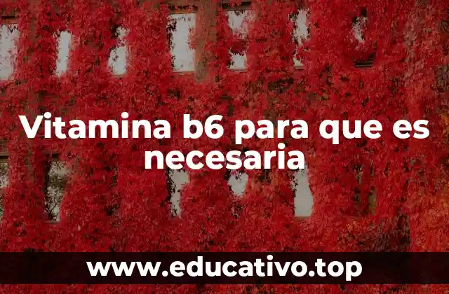 Vitamina b6 para que es necesaria