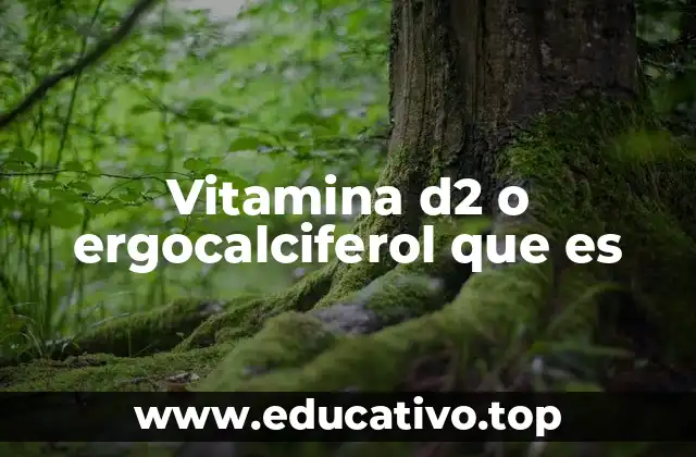 Vitamina d2 o ergocalciferol que es