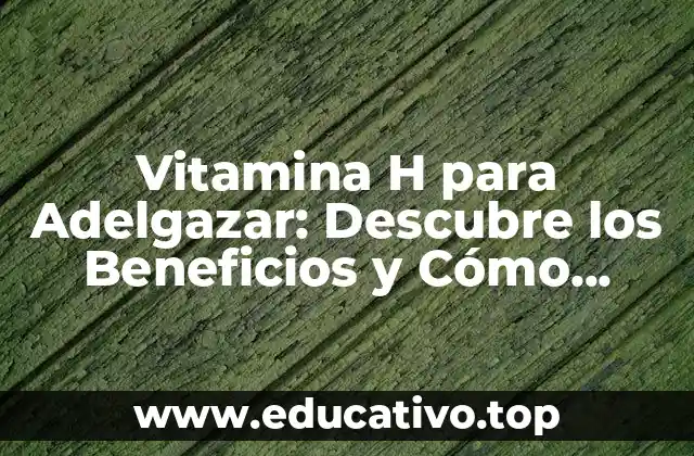 Vitamina H para Adelgazar: Descubre los Beneficios y Cómo Funciona
