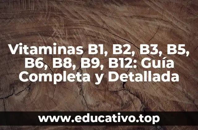 Vitaminas B1, B2, B3, B5, B6, B8, B9, B12: Guía Completa y Detallada