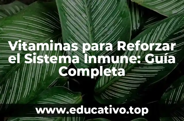 Vitaminas para Reforzar el Sistema Inmune: Guía Completa
