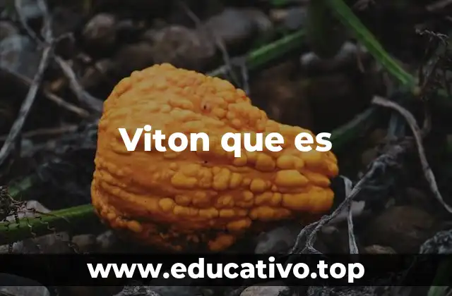 Viton que es