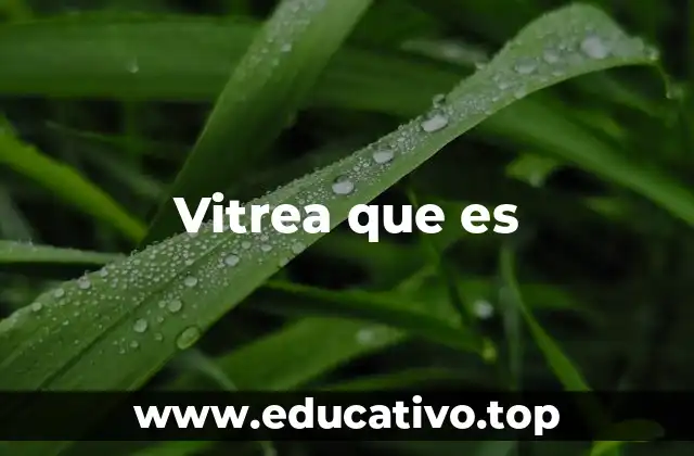 Vitrea que es