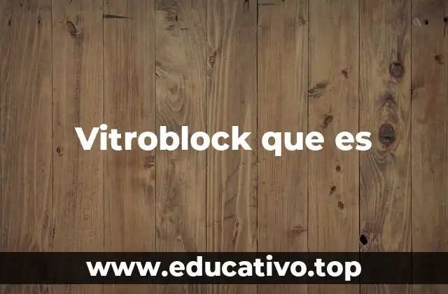 Vitroblock que es