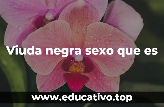 Viuda negra sexo que es