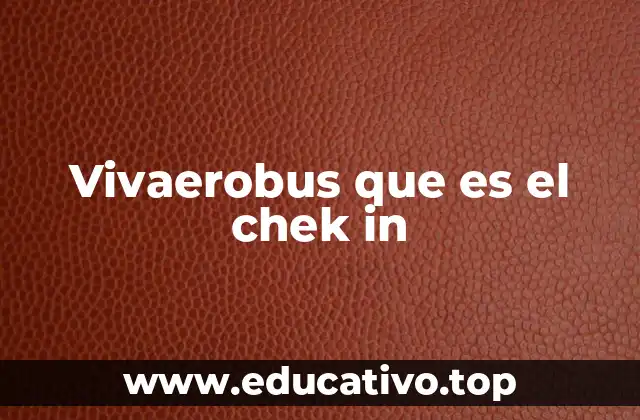 Vivaerobus que es el chek in