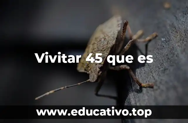 Características principales del Vivitar 45