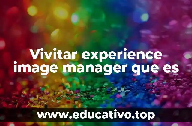 Vivitar experience image manager que es