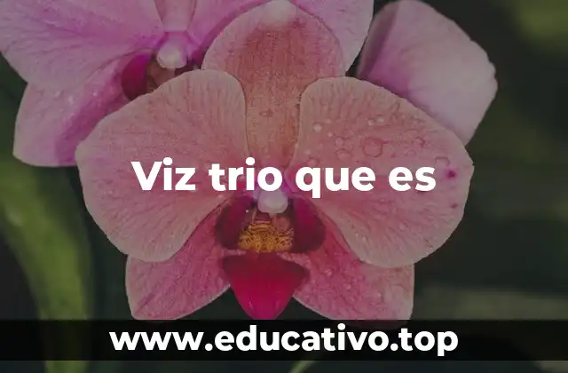 Viz trio que es