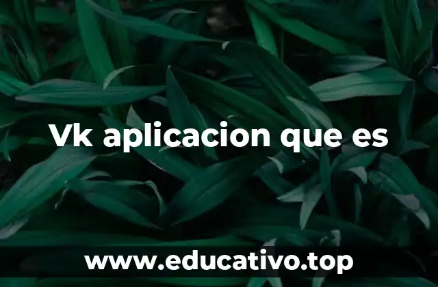 Vk aplicacion que es