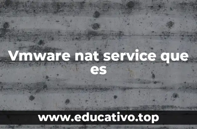 Vmware nat service que es