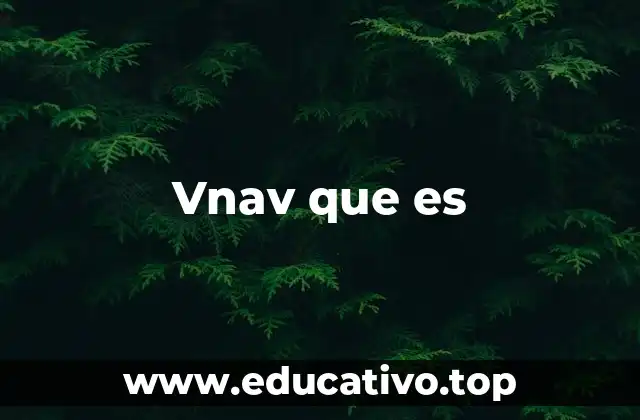 Vnav que es