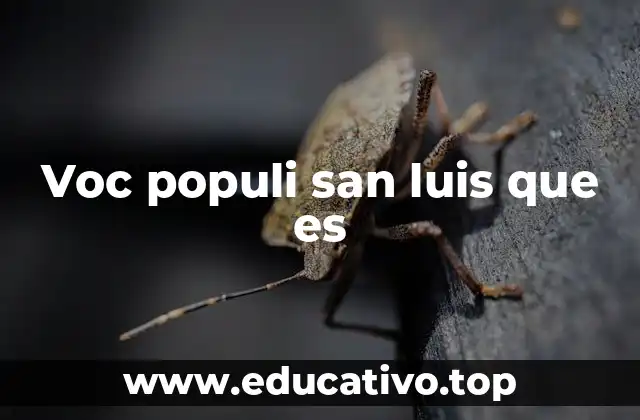 Voc populi san luis que es