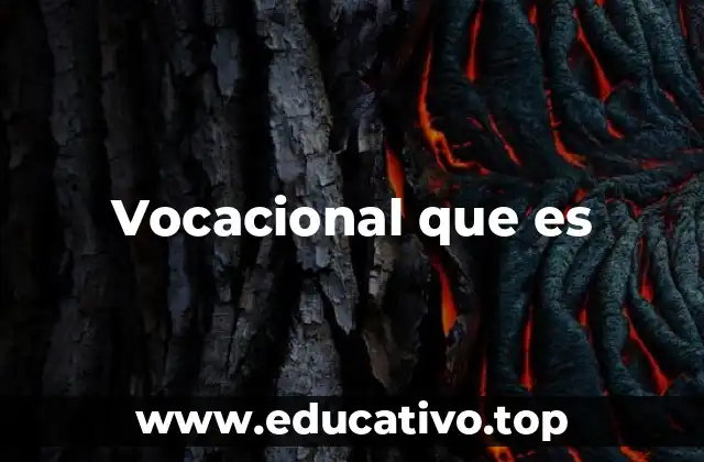 Vocacional que es