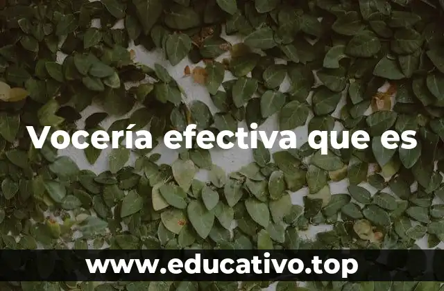 Vocería efectiva que es