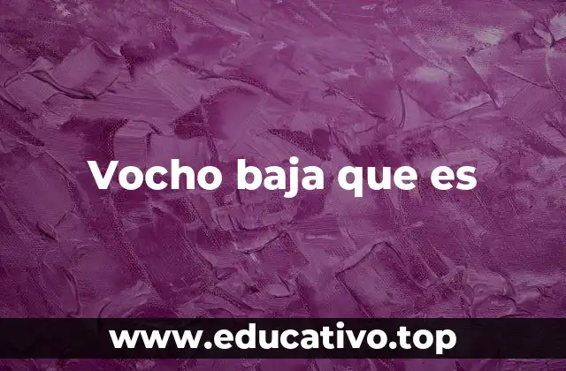 Vocho baja que es