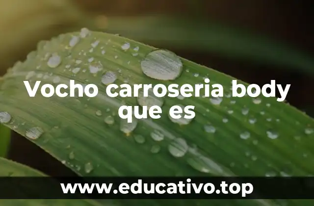 Características principales de la carrocería del vocho