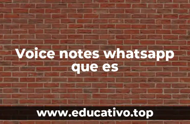 Voice notes whatsapp que es