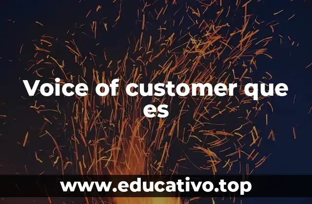 Voice of customer que es