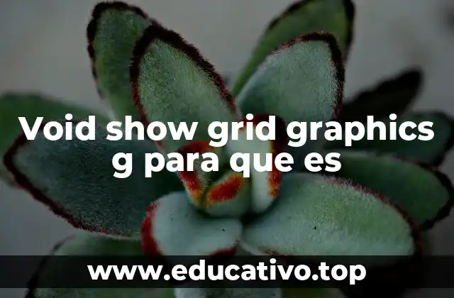 Void show grid graphics g para que es