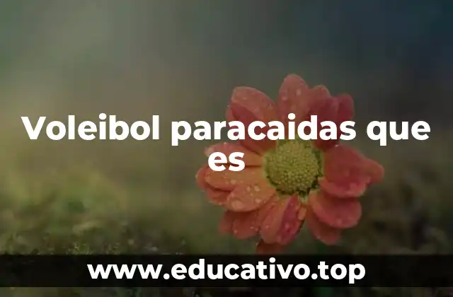 Voleibol paracaidas que es