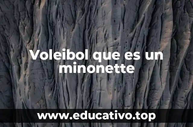 Voleibol que es un minonette