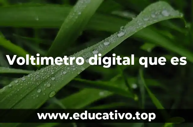 Voltimetro digital que es